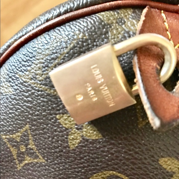 Speedy 30 Louis Vuitton canvas print - Picture 5 of 8